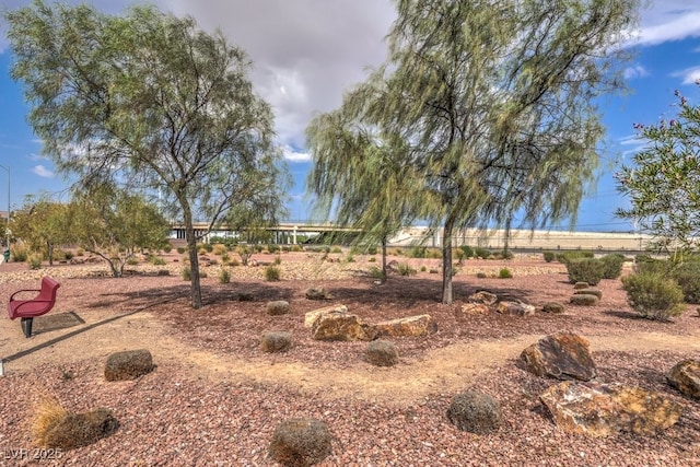 5833 Petrified Tree Ln, North Las Vegas, NV 89081 - photo 49