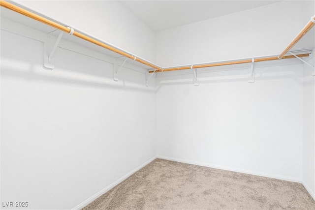 5276 Steptoe St, Las Vegas, NV 89122 - photo 19