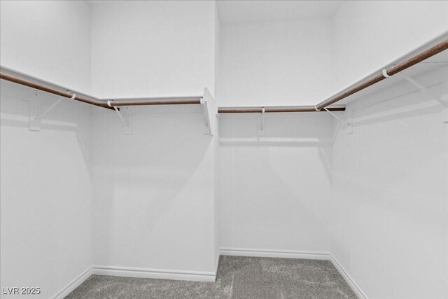 1503 Eliana Crossing Pl, Henderson, NV 89002 - photo 20