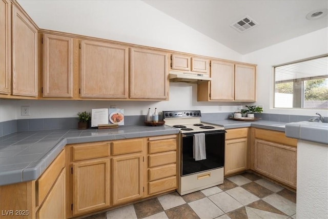 1414 Reebok Ter, Henderson, NV 89014 - photo 7