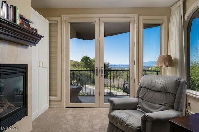 17 Mountain Cove Ct, Henderson, NV 89052 - photo 27