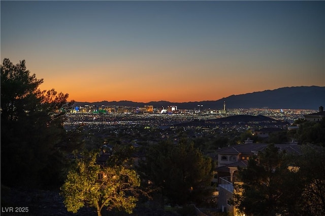 17 Mountain Cove Ct, Henderson, NV 89052 - photo 29