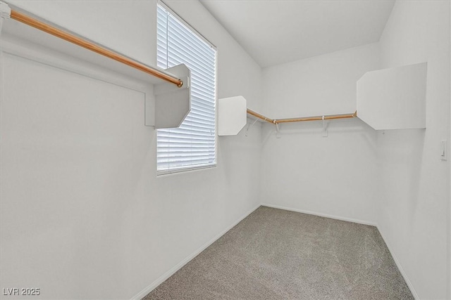 5548 Spiceberry Dr, Las Vegas, NV 89135 - photo 23