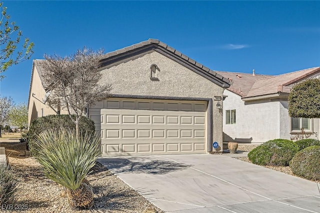 7921 Fantail Dr, North Las Vegas, NV 89084 - photo 8
