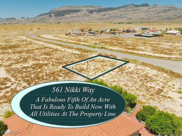 561 W Nikki Way, Pahrump, NV 89060 - photo 1