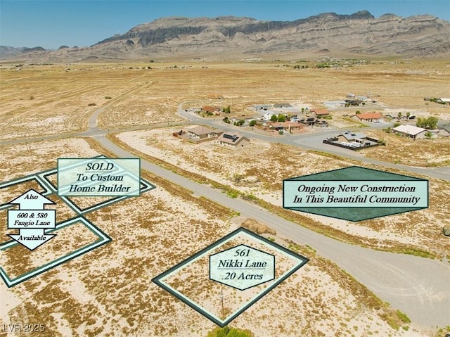 561 W Nikki Way, Pahrump, NV 89060 - photo 6