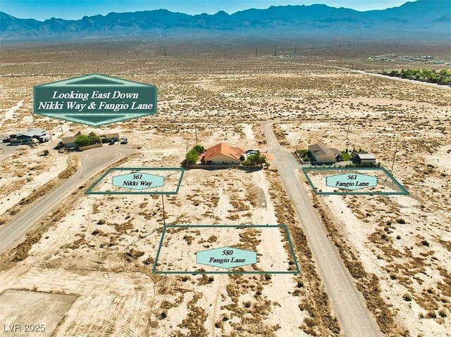 561 W Nikki Way, Pahrump, NV 89060 - photo 10