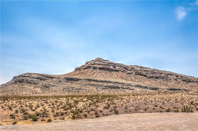 9595 Camelback Creek Dr, Las Vegas, NV 89178 - photo 22