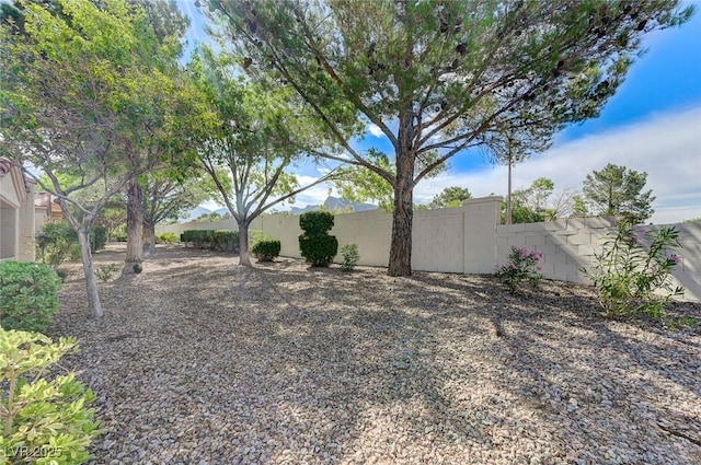 10616 Sky Meadows Ave, Las Vegas, NV 89134 - photo 39