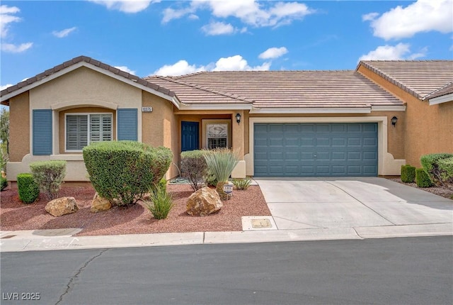 10375 Madagascar Palm St, Las Vegas, NV 89141 - photo 2