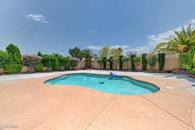 8625 Wild Diamond Ave, Las Vegas, NV 89143 - photo 38
