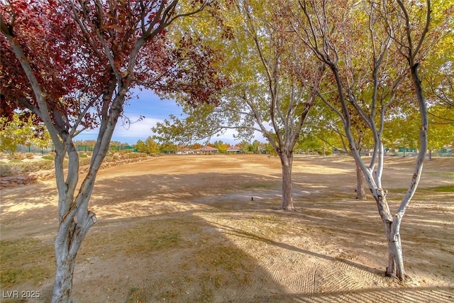 5100 Ivy Creek Ct, Las Vegas, NV 89141 - photo 42
