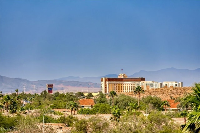 5100 Ivy Creek Ct, Las Vegas, NV 89141 - photo 24
