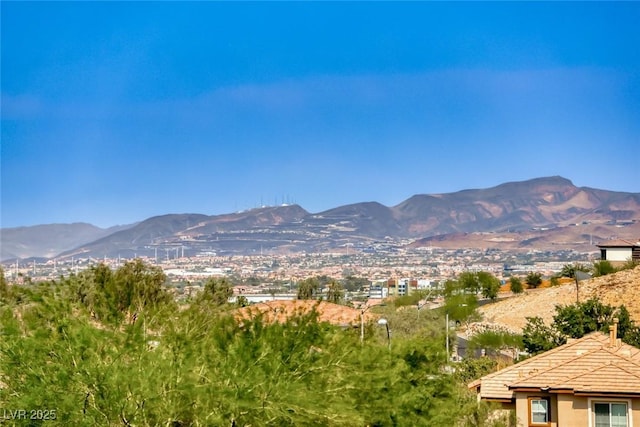 5100 Ivy Creek Ct, Las Vegas, NV 89141 - photo 25