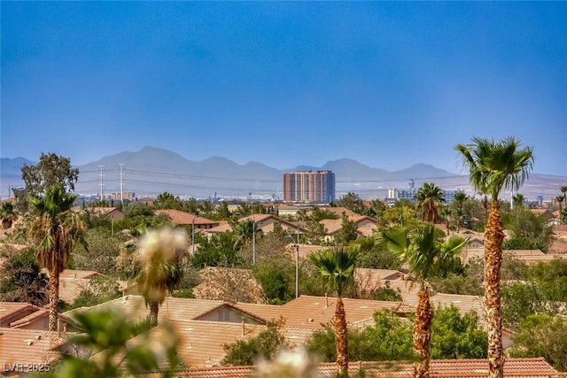 5100 Ivy Creek Ct, Las Vegas, NV 89141 - photo 26