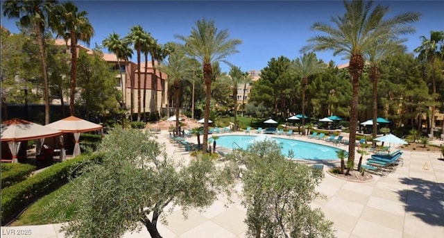 220 E Flamingo Rd Unit 227, Las Vegas, NV 89169 - photo 6
