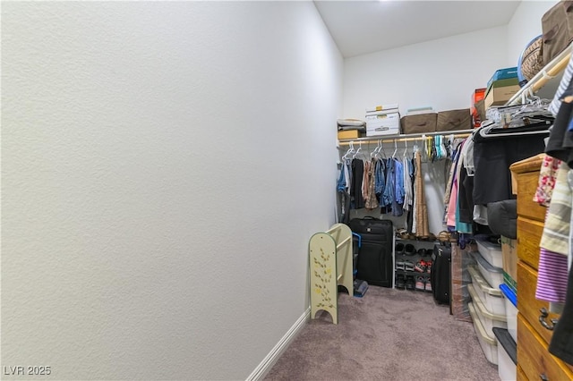 3592 E Wallowa Dr, Pahrump, NV 89061 - photo 21