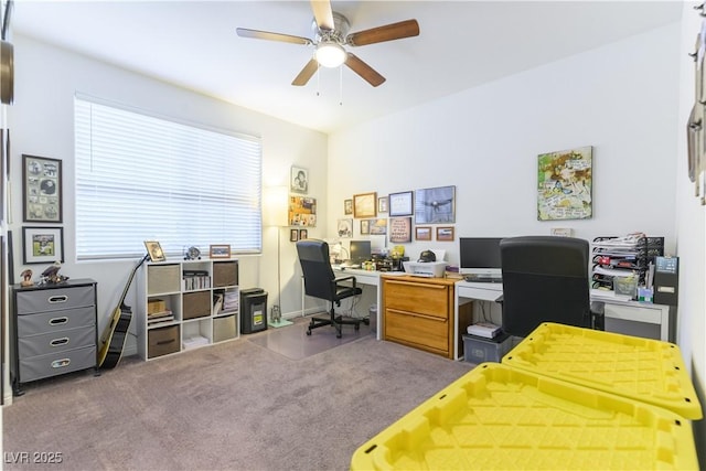 3592 E Wallowa Dr, Pahrump, NV 89061 - photo 29