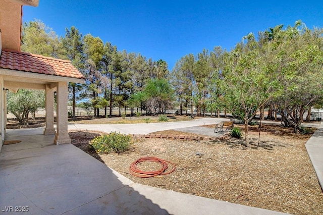 1635 Zubia St, Overton, NV 89040 - photo 37