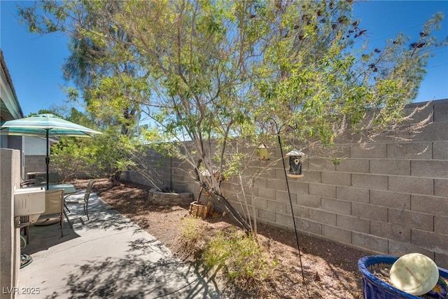 8229 Golf Club Ave, Las Vegas, NV 89145 - photo 32