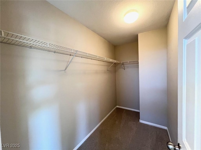 968 Lucky Bamboo Dr, Henderson, NV 89052 - photo 12