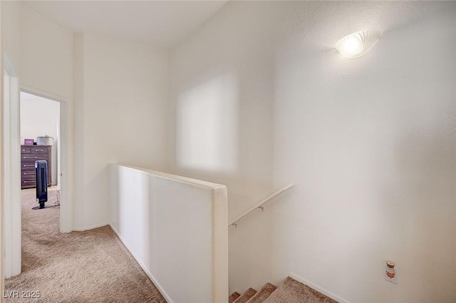 8775 Tomnitz Ave Unit 103, Las Vegas, NV 89178 - photo 31