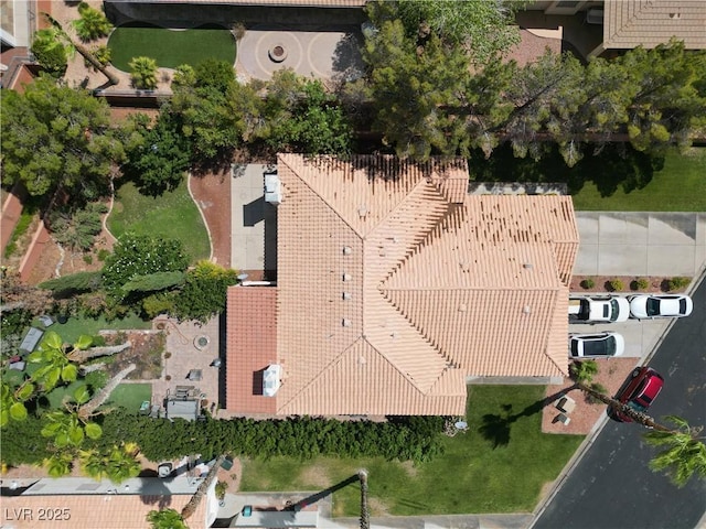 518 Plateau Rd, Mesquite, NV 89027 - photo 29