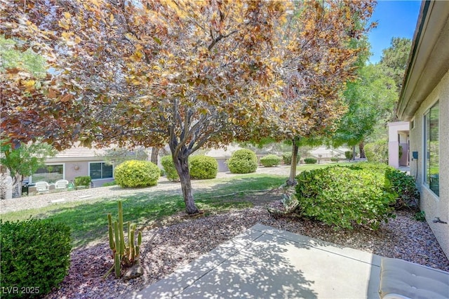 474 Dalgreen Pl, Henderson, NV 89012 - photo 29