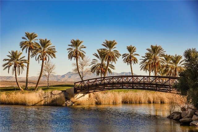 20 Falling Canyon Ct, Henderson, NV 89011 - photo 88