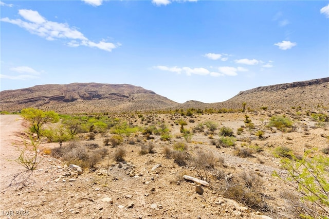 100 Spanish Trl, Las Vegas, NV 89110 - photo 29