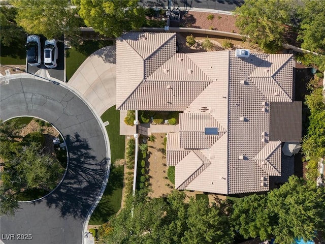 9004 Rolling Knoll Ct, Las Vegas, NV 89134 - photo 52