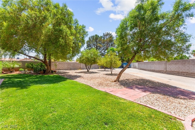 3806 Passionfruit St, North Las Vegas, NV 89032 - photo 2