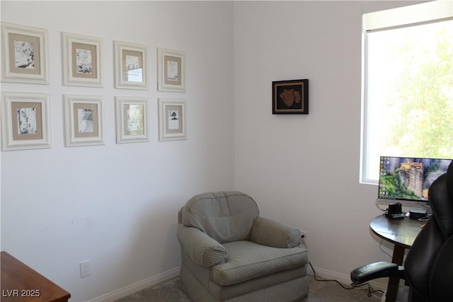 10761 Skye Lily Ave, Las Vegas, NV 89166 - photo 80