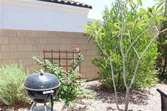 10761 Skye Lily Ave, Las Vegas, NV 89166 - photo 84