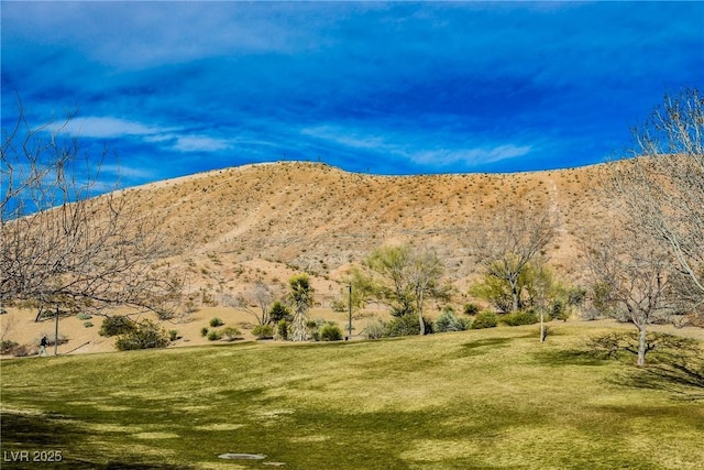 7146 Foggy Mist Ave, Las Vegas, NV 89179 - photo 41