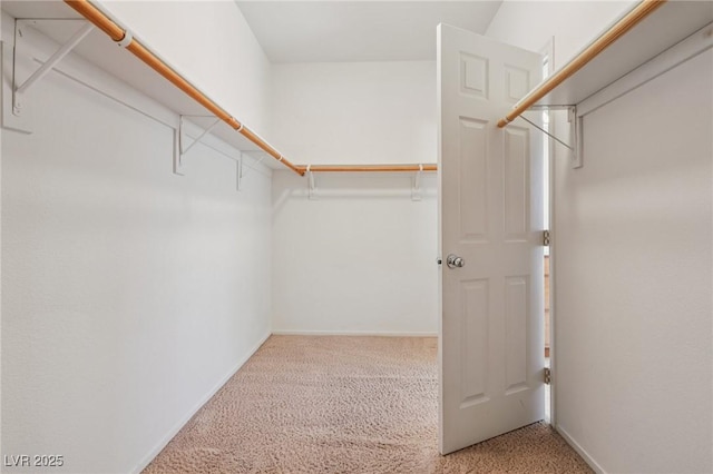917 Kevin Baker Ave, North Las Vegas, NV 89086 - photo 41