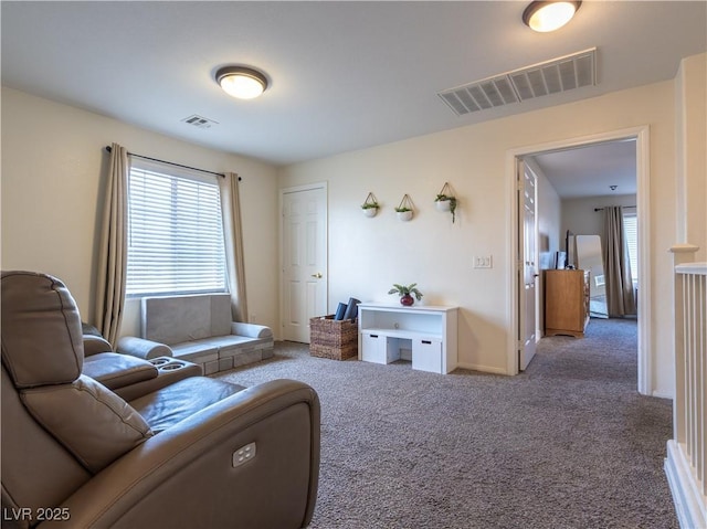 7864 Solid Horn Ct, Las Vegas, NV 89149 - photo 22