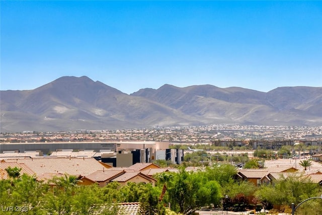 11210 Formosa Springs Ct, Las Vegas, NV 89183 - photo 51
