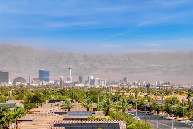 11210 Formosa Springs Ct, Las Vegas, NV 89183 - photo 44