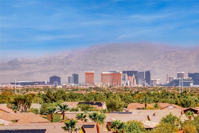 11210 Formosa Springs Ct, Las Vegas, NV 89183 - photo 45