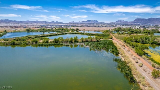 330 Spring Dove Ave, Henderson, NV 89011 - photo 22