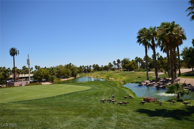 81 Island Course Ave, Las Vegas, NV 89148 - photo 44