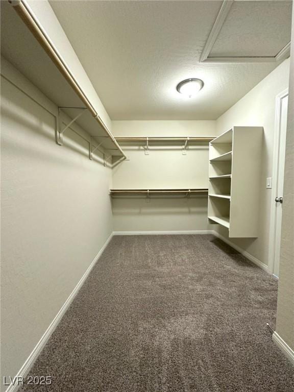 113 Duckhook Ave, Las Vegas, NV 89148 - photo 22