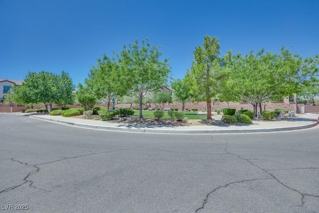 178 Thunder Plains Way, Henderson, NV 89012 - photo 41