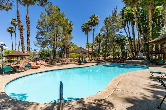 5265 Caspian Springs Dr Unit 104, Las Vegas, NV 89120 - photo 40