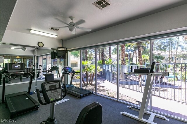 5265 Caspian Springs Dr Unit 104, Las Vegas, NV 89120 - photo 41