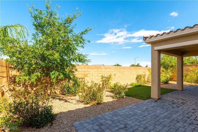 8064 Calico Mesa St, Las Vegas, NV 89166 - photo 24