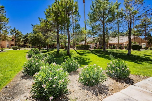 1150 N Buffalo Dr Unit 1055, Las Vegas, NV 89128 - photo 31