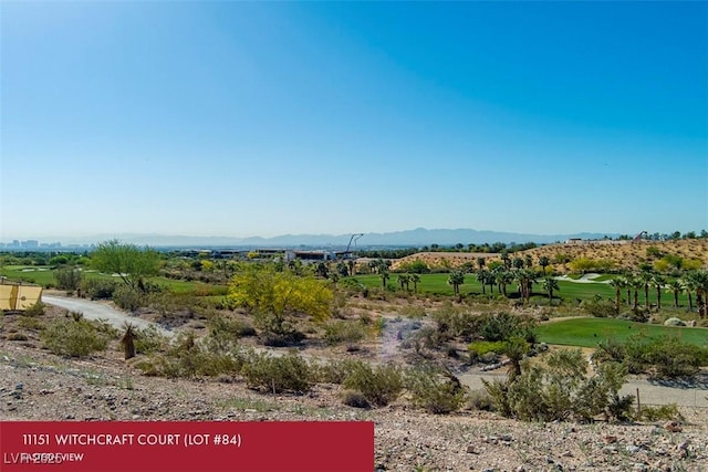 11151 Witchcraft Ct, Las Vegas, NV 89135 - photo 5