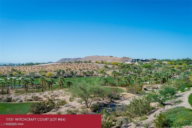 11151 Witchcraft Ct, Las Vegas, NV 89135 - photo 6